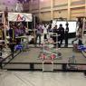 At the Science Fair