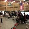 At the Science Fair
